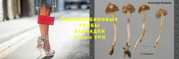ECSTASY Балабаново