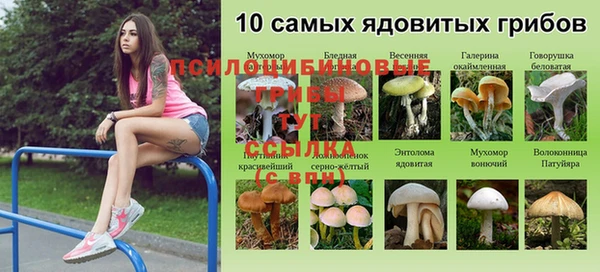 синтетический гашиш Балахна